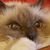 Barbara Pittard's profile image