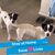 Christine Moesch's profile image