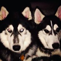 Mike Angela Frierson's profile image