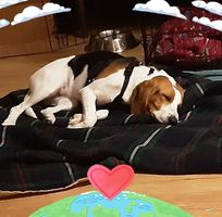 Sally Seneca's profile image