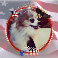 Gayle A Maddox's profile image