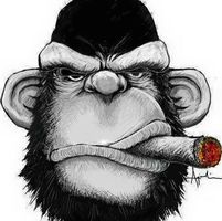 J.p. Smith's profile image