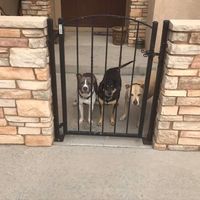 Teri Martinez Wellner's profile image