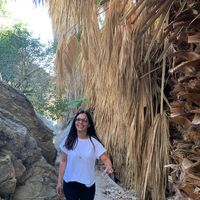 Lorena Funes Venegas's profile image