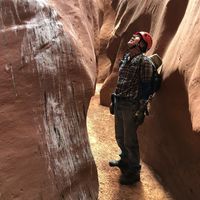 Robert Renelle's profile image