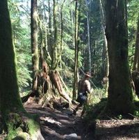 Chris Rowley's profile image