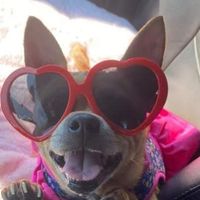Leann Cook's profile image