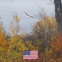 Laurie Shovick Olafson's profile image
