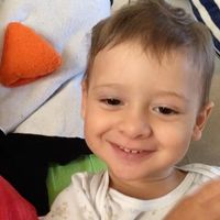 Luca Crivellenti's profile image
