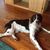 Ginny Dreese Dorman's profile image
