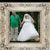 Alisa Todd Phillips's profile image