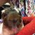 Christy Bruson Jenko's profile image
