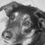Judy Aaron Levinsky's profile image