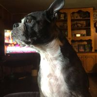 Michele Johnson's profile image