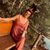 Lynette Lytle's profile image