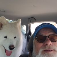 Jerry Kiel's profile image