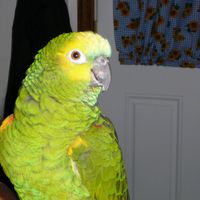 Richard D Clarke's profile image