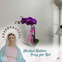 Adriana Escorcia's profile image