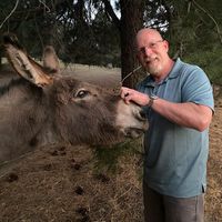 William Dee's profile image