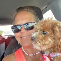 Jill Malish's profile image