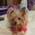 Audrey Miller's profile image