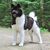Nancy Bowen King's profile image