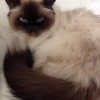 Ирина Александровна's profile image