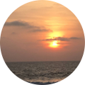 Staci Jeanblanc's Profile Image