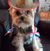 Cheryl Pouliot's profile image