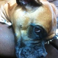 Tim Harris's profile image