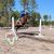 Brittany Heald's profile image