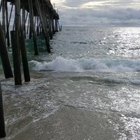 Chrystal Bucchioni's profile image