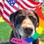 Beth Kelley's profile image
