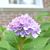 Pamela Geldbach's profile image