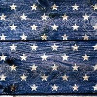 Adam Wolcott's profile image