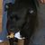 Julie Handlon's profile image