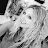 Fern Dahlstrom's profile image