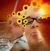 Sandi Hanson's profile image