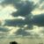 Mary Ann D Barreda's profile image