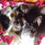 Brenda Martin Jones's profile image
