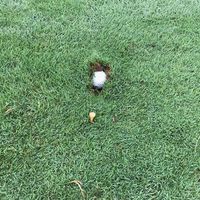 Jimmy Woldt Jr.'s profile image