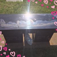 Debra Elliott's profile image