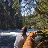 Annette Hart's profile image