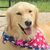 Kelly Prather Sanders's profile image