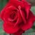 Linda Fine's profile image