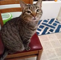 Justin Keith Rigsby's profile image