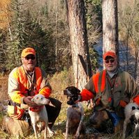 Tim Mulvaney's profile image