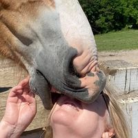 Lisa Gibson Smith's profile image