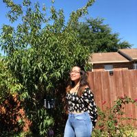 Diana Gutierrez's profile image