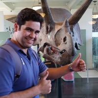 Frankie Hernandez's profile image